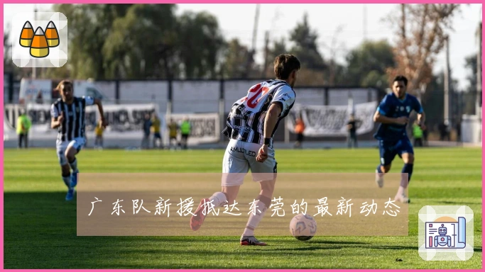 广东队新援抵达东莞的最新动态