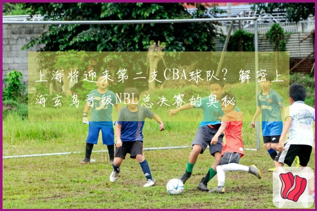 上海将迎来第二支CBA球队？解密上海玄鸟晋级NBL总决赛的奥秘