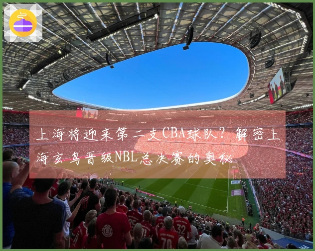 上海将迎来第二支CBA球队？解密上海玄鸟晋级NBL总决赛的奥秘